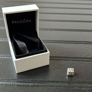 Birthday Present or Christmas Present Pandora Bracelet Charm